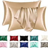 Pillowcases Set of 2(20"*26"), Ultra-Soft Microfiber Pillow Covers, Fade-Resistant & Hypoallergenic, Envelope Closure Design